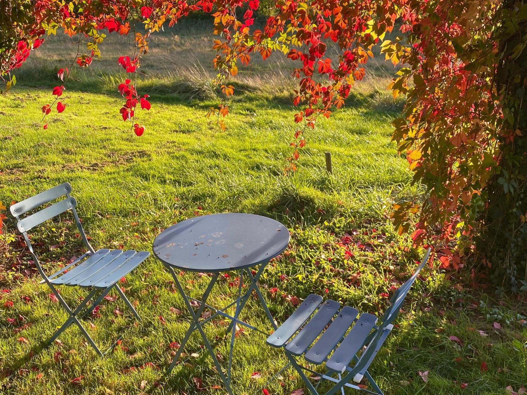 Вілла Gite Ecologique De Charme Avec Grand Jardin, Proche Des Alpes Mancelles, Ideal Famille Et Amis - Fr-1-410-132 Moulins-le-Carbonnel Екстер'єр фото